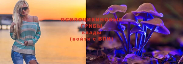 шишки Пестово