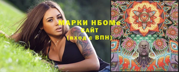 гашик Осташков
