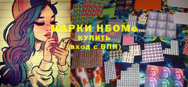 гашик Осташков