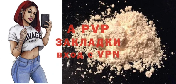 гашик Осташков