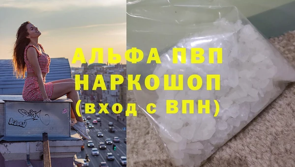 гашик Осташков