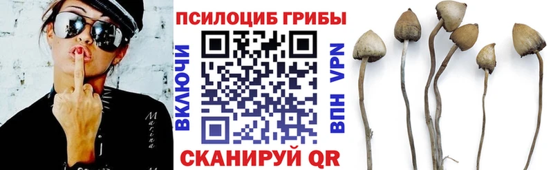 Галлюциногенные грибы MAGIC MUSHROOMS  Сарапул 